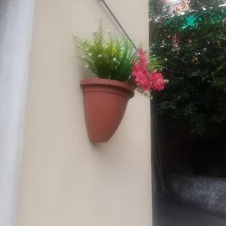 Paint House Imperia